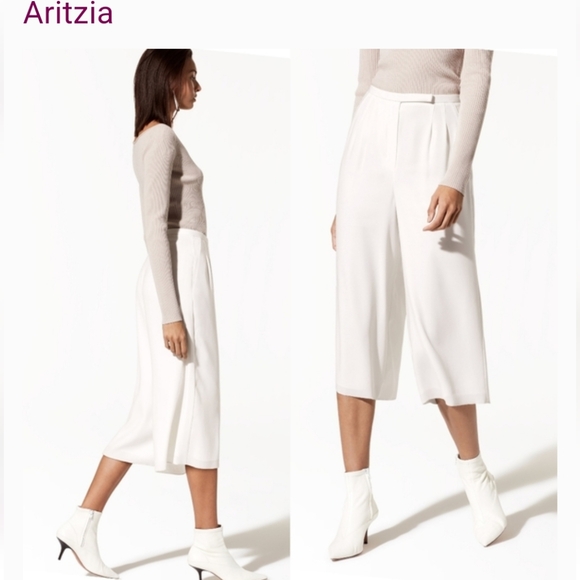 Aritzia Pants - Aritzia Lazarus Pants